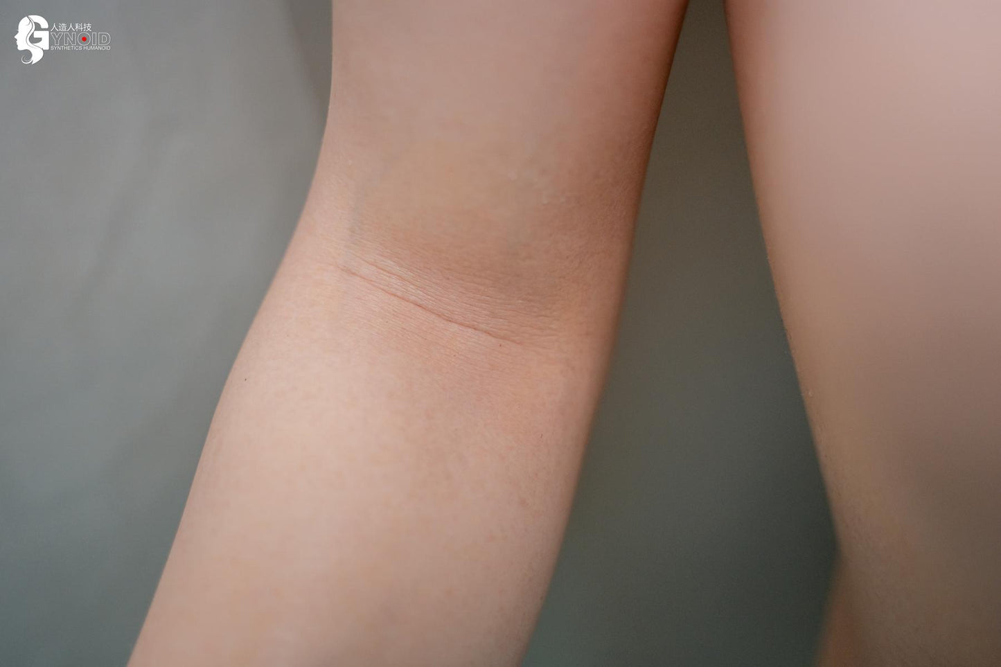 Gynoid - Model 19 Deluxe Leyla (168cm)